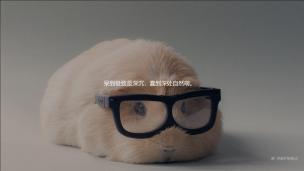 （张宝）中考数学压轴专题——迁移构造≌   2021.06.11 19:30-20:30  